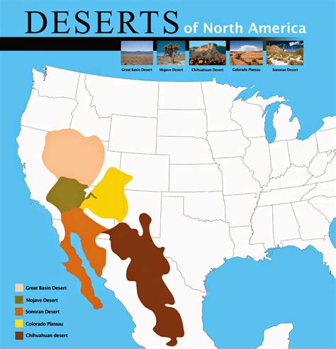 Sonoran Desert On World Map