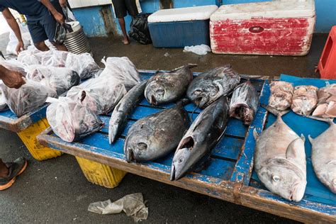 The official suisan fish market neck gaiter! Suva Fish Market, Suva, Fiji - Linger Abroad