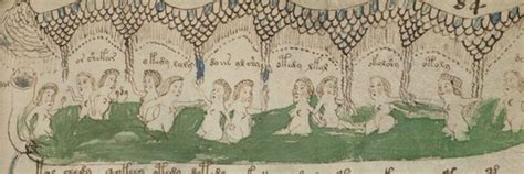 Voynich Manuscript The Antiquarian Book