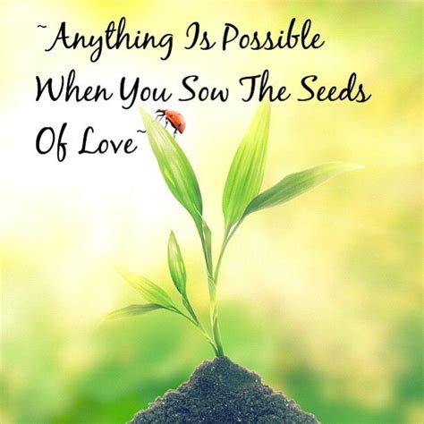Sow The Seeds Of Love~god~ Growth Quotes Life Quotes Anything Is