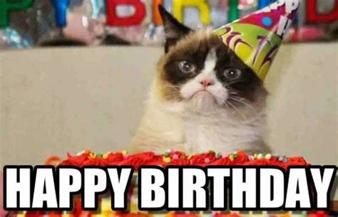 Grumpy Cat Birthday Meme Happy Birthday