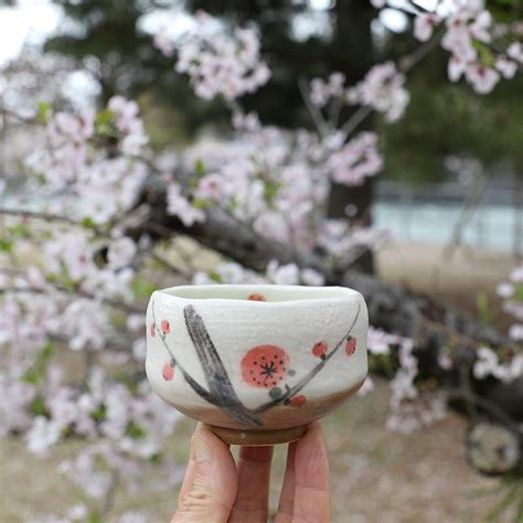 The leaves used for this tea are also steamed, but they're processed a little differently. Matcha Cup: Encha Plum Blossom mini Chawan (Ume)