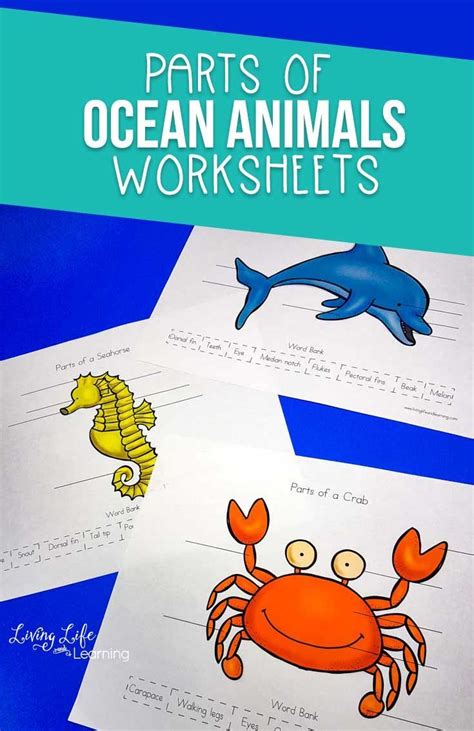 Easy science activities for preschool. Parts of Ocean Animals Worksheets | Animal worksheets ...