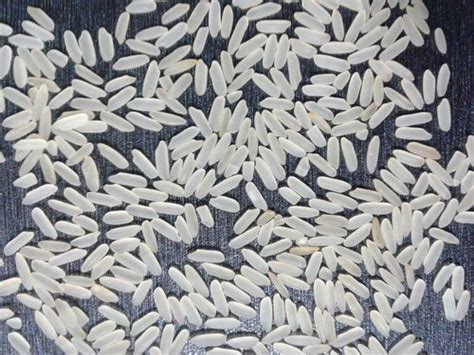 Buy basmati rice online at lazada.com.ph | check out brands like daawat, lal qilla, time n treasure & more with great deals and lowest prices. Non Basmati Rice in Kolkata - Latest Price & Mandi Rates ...