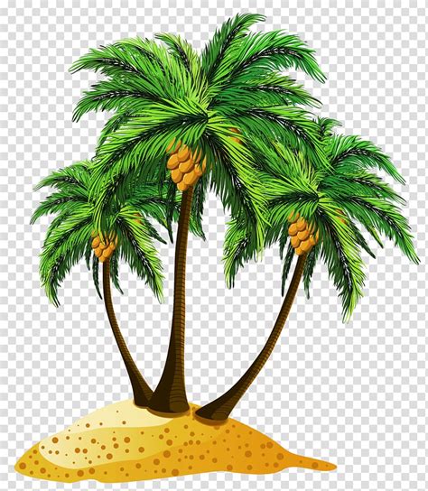 Beach Coconut Palm Tree Clip Art My Xxx Hot Girl
