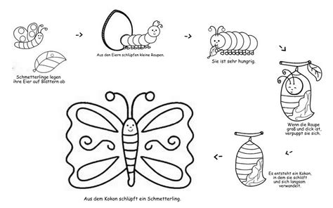 Schmetterling in der grundschule grundschulmaterial de. Raupe Nimmersatt Schmetterling Ausmalbild | Kinder ...