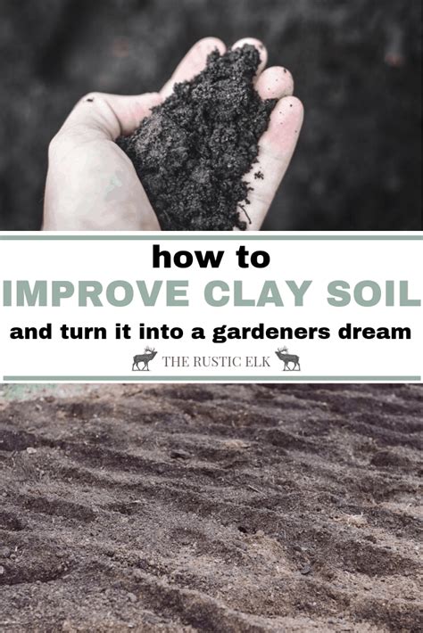 How To Turn Clay Soil Into Gardening Gold In 2020 Clay Soil Soil