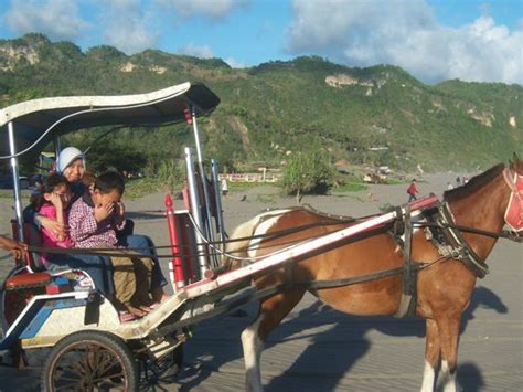 Berkeliling Pantai Dengan Dokarandong Picture Of Parangtritis Beach