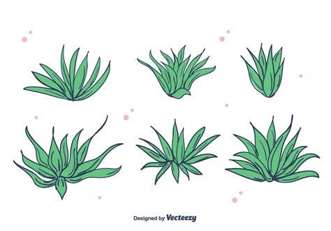 Download Maguey Vector - Download Free Vectors, Clipart Graphics ...