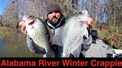 Alabama River Winter Crappie Fishing Youtube