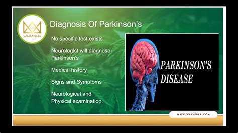Parkinsons And How Cbd May Assist Youtube