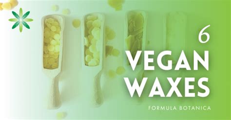 6 Vegan Waxes For Organic Cosmetic Formulations