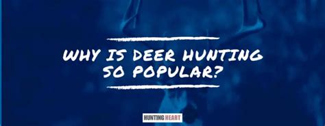 Why Is Deer Hunting So Popular Hunting Heart
