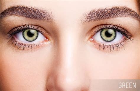 FreshLook One Day Daily Contact Lenses LensPure