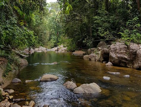 Sinharaja Rain Forest Lanka Visit
