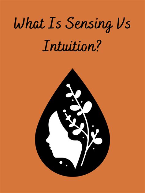 Breaking Down Myers Briggs What Is Sensing Vs Intuition Owlcation