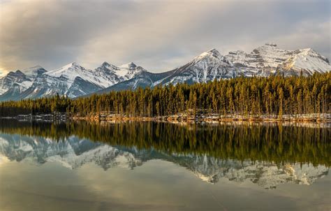 Wallpaper Forest Mountains Lake Reflection Canada Albert Banff