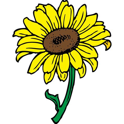 Sunflower Clip Art Svg