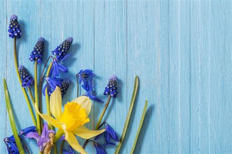 Blue Spring Flowers On Windowsill Stock Image Image Of Bright Floral