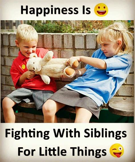 Funny Quotes About Siblings Love At Quotes