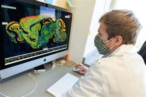 Scientific Approaches Center For Neurogenetics College Of Medicine University Of Florida