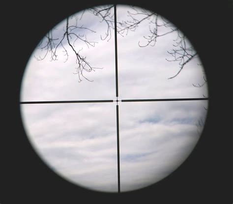 Unusual 308 ballistics chart 50 yard zero 223 ballistics. Choosing the Right Scout Rifle AR Optic