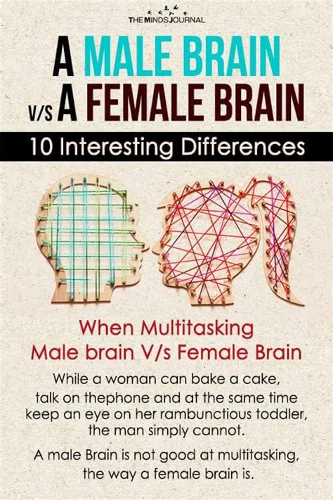 A Male Brain Vs A Female Brain 10 Interesting Differences