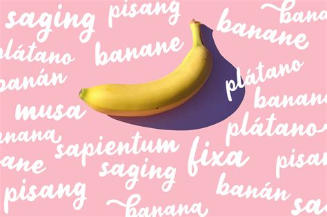 • easy access on any device: FREE FONT // Jellly Bean Script & Sans Fun Font on Behance