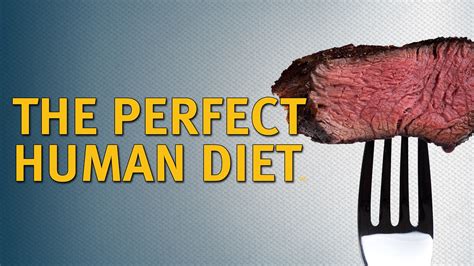 watch the perfect human diet 2013 full movie free online plex