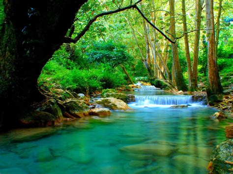 forest river  cascades turquoise water rocks trees desktop