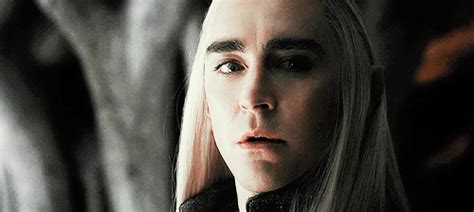 Thranduil Face Once We Were Kings