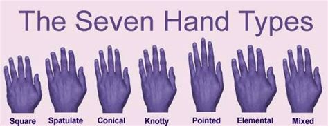 Palmistry Guide The Seven Types Of Hands Part 1