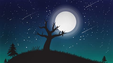 Night Sky Illustration Illustration In Illustrator Youtube