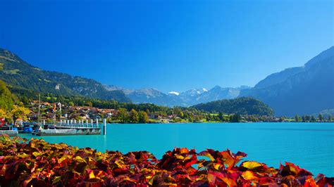 Fondos De Pantalla 2560x1440 Suiza Fotografía De Paisaje Lago Montañas