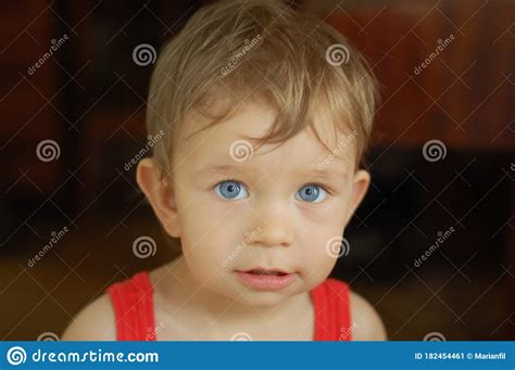 A Small Boy With Blue Eyes Looks Closely At The Camera Stock Image
