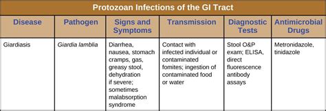 19 5 Protozoan Infections Of The Gastrointestinal Tract Allied Health Microbiology