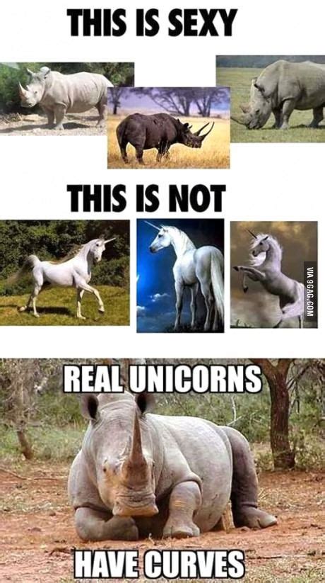 Only The Realest Of Unicorns Funny Pictures Laugh Funny Memes