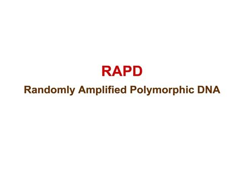 Ppt Rapd Randomly Amplified Polymorphic Dna Powerpoint Presentation