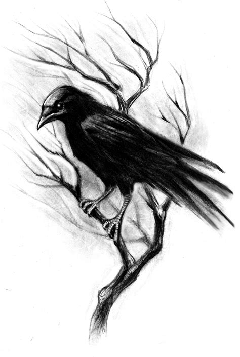 Tattoo Sketches Tattoo Drawings Body Art Tattoos Sleeve Tattoos Crow Tattoo Design Tree