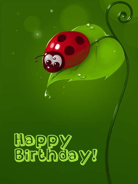 Lady Bug Birthday Card Mensaje De Feliz Cumpleaños Imagen Feliz