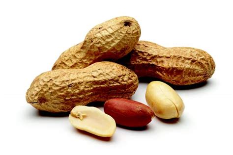 Nut Consumption Linked To Lowered Risk Of Cardiovascular And Overall