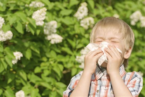 Natural Remedies For Childrens Allergies