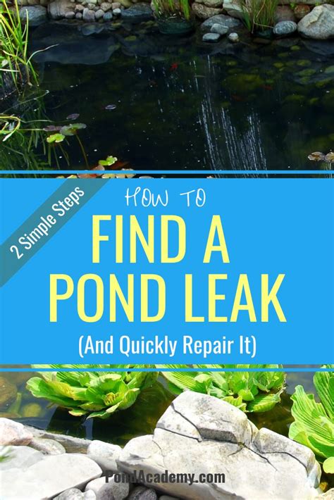 You can see the pollen line from 2 days ago, and some leaves and stuff around the rim. How To Find A Leak In A Pond In 2 Simple Steps (And ...