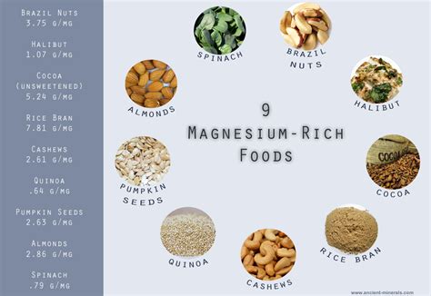 Foods High In Magnesium Zinc And Folate Vegetable Planting Guide Nsw