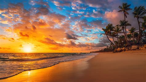 Download Sunset Nature Beach 4k Ultra Hd Wallpaper