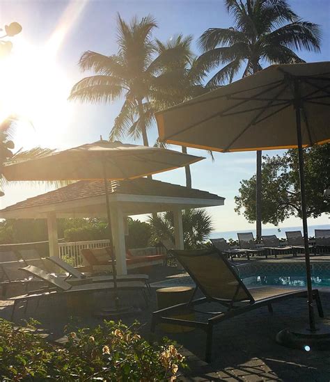 Be one with nature whether you enjoy a cup of coffee, reading a book or just simply enjoying the sunset. Enjoying this beautiful view today! #sunandpalmtrees #islandlife #islamorada #sunnydays # ...