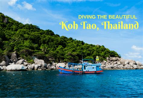 Koh Tao Scuba Diving Thailand What You Need To Know Before You Go