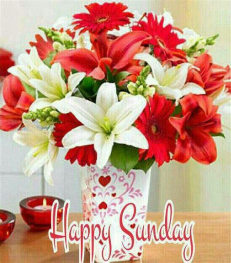 Pin By สุดแต่ใจ On วันอาทิตย์ Sunday Greetings Happy Sunday Happy