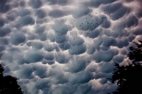 Video The Mysteries Of Mammatus Clouds