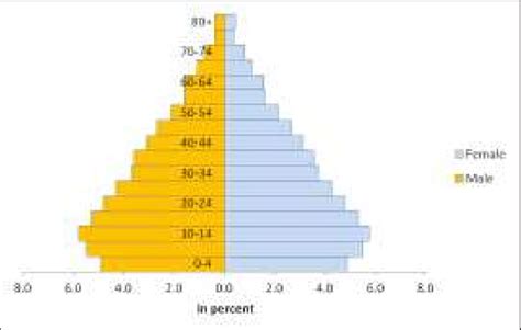 Age Sex Population Pyramid India 2011 Source Census Of India 2011 Download Scientific